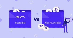 Custodial vs Non-Custodial Wallets: Secure Your Crypto Savvy 1 Custodial vs Non-Custodial Wallets
