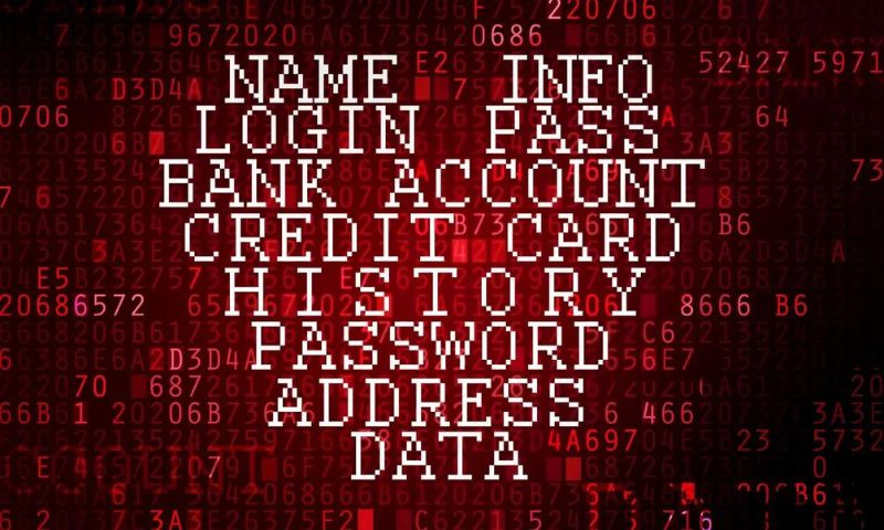 Seed Phrase Security 2024: Fortifying Your Crypto Future