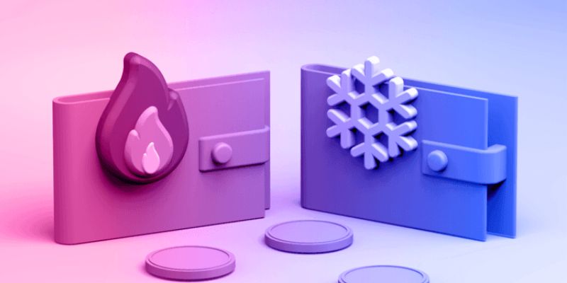 hot vs. cold crypto wallets