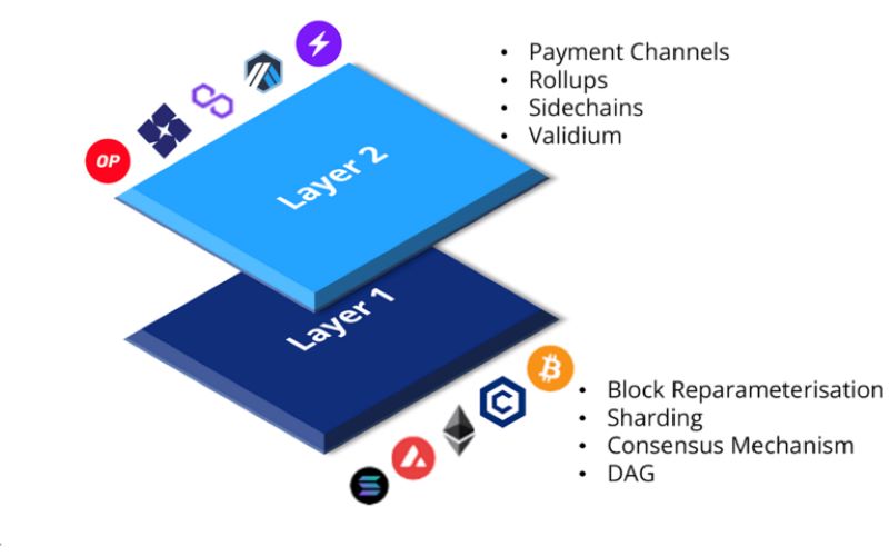  Layer 1 Blockchains