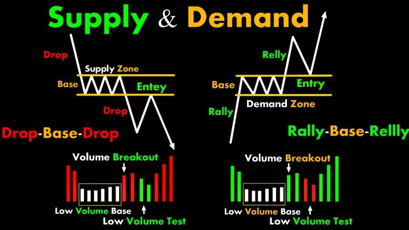 Coin Supply and Demand Dynamics