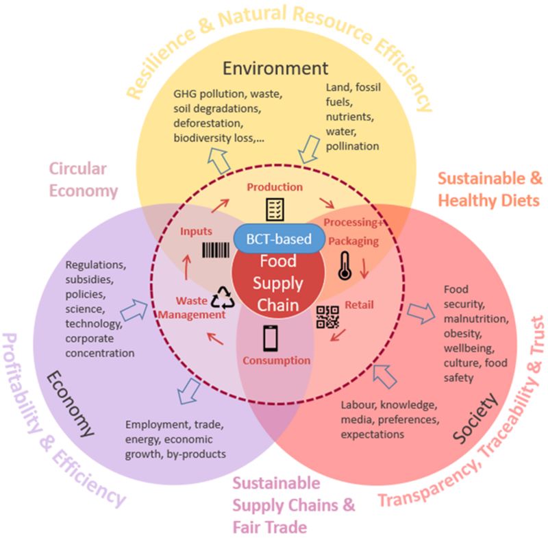 Blockchain Potential