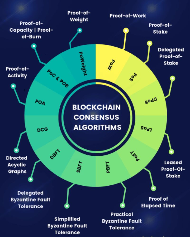 Blockchain Consensus Algorithms