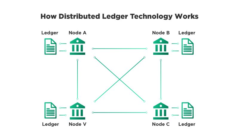 How does the Distributed Ledger Technology work?
