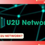 What is U2U Network?